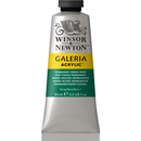 Winsor & Newton Galeria Acrylic Permanent Green Deep : 60ml-3