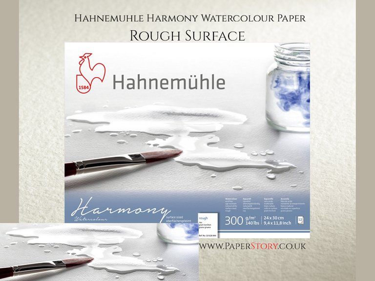 Hahnemühle 'Harmony' Watercolour Block  Rough  12 Sheets 300gsm A4