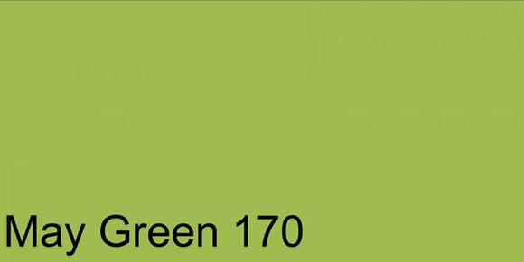 Faber Castell Pitt Pastel Pencil May Green 170