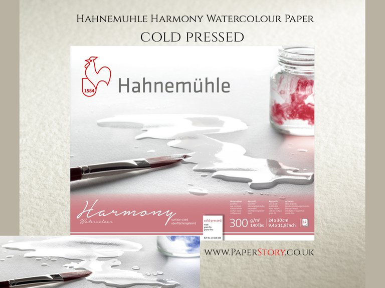 Hahnemühle 'Harmony' Watercolour Block Cold Pressed 12 Sheets 300gsm A3 (29.7 x 42cm )