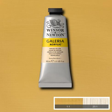 Winsor & Newton Galeria Acrylic Naples Yellow : 60ml