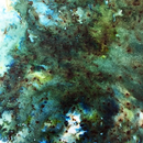 PaperArtsy Infusions dye colour crystals creative paints-27