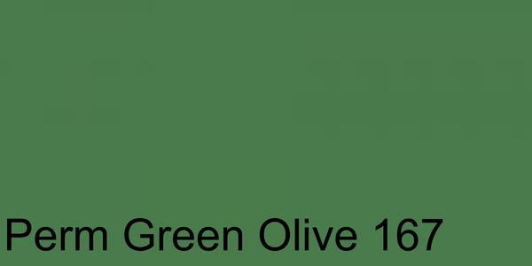 Faber Castell Pitt Pastel Pencil Permanent Green Olive 167 - 0