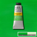 Winsor & Newton Galeria Acrylic Permanent Green Light : 60ml-1
