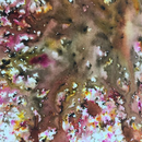 PaperArtsy Infusions dye colour crystals creative paints-28