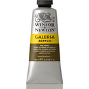 Winsor &  Newton Galeria Acrylic Raw Umber : 60ml-2