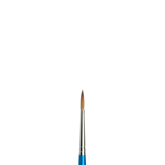 Winsor and Newton : Cotman Watercolour Brush : Set of 4
