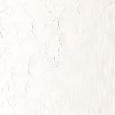 Winsor and Newton Oil : Titanium White