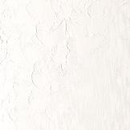 Winsor and Newton Oil : Titanium White