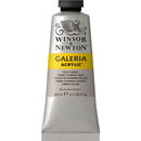 Winsor & Newton Galeria Acrylic Pale Umber 60 ml-3