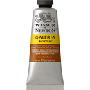 Winsor & Newton Galeria Acrylic Burnt Sienna Opaque : 60ml-4