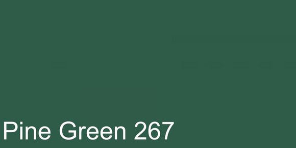 Faber Castell Pitt Pastel Pencil Pine Green 267