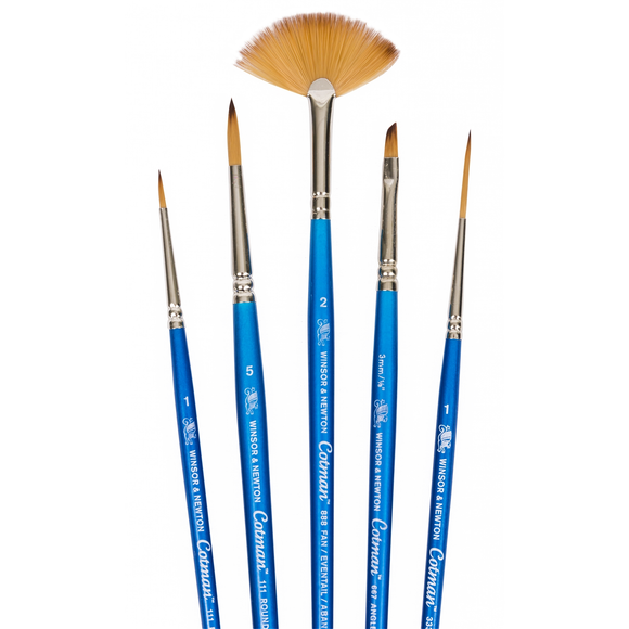 Winsor & Newton Cotman Watercolour Brush set of 5