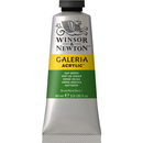 Winsor & Newton Galeria Acrylic Sap Green 60ml-3