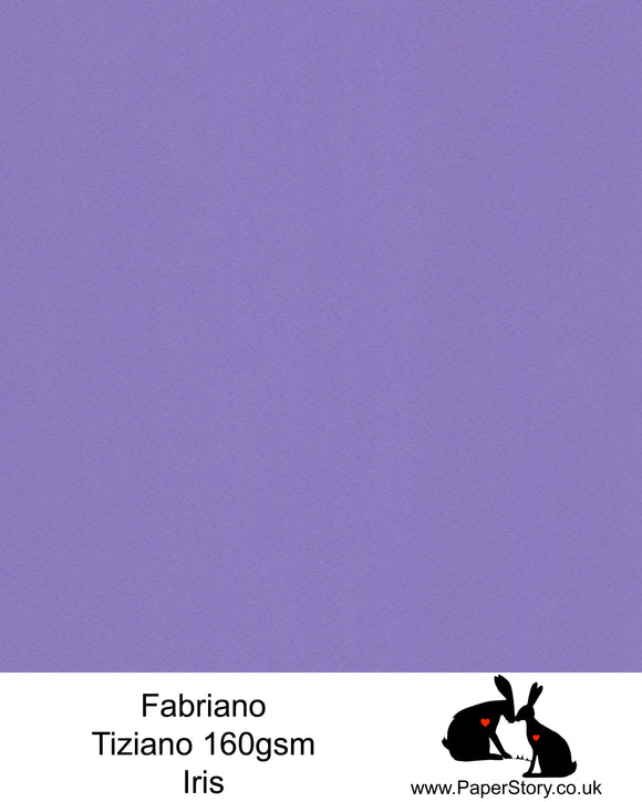 High quality paper from Italy, Iris refreshing purple Fabriano Tiziano is 160 gsm, Tiziano has a high cotton content, a textured naturally sized surface. This paper is acid free to guarantee long permanence in time, pH neutral. It has highly lightfast colours, an excellent surface making and sizing which make this paper particularly suitable for papercutting, pastels, pencil, graphite, charcoal, tempera, air brush and watercolour techniques. Tiziano can be used for all printing techniques.