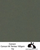 Canson Mi Teintes acid free, Ivy green, hammered texture honeycomb surface paper 160 gsm. 