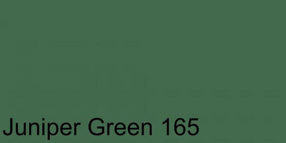 Polychromos Artist Pencil Juniper Green 165