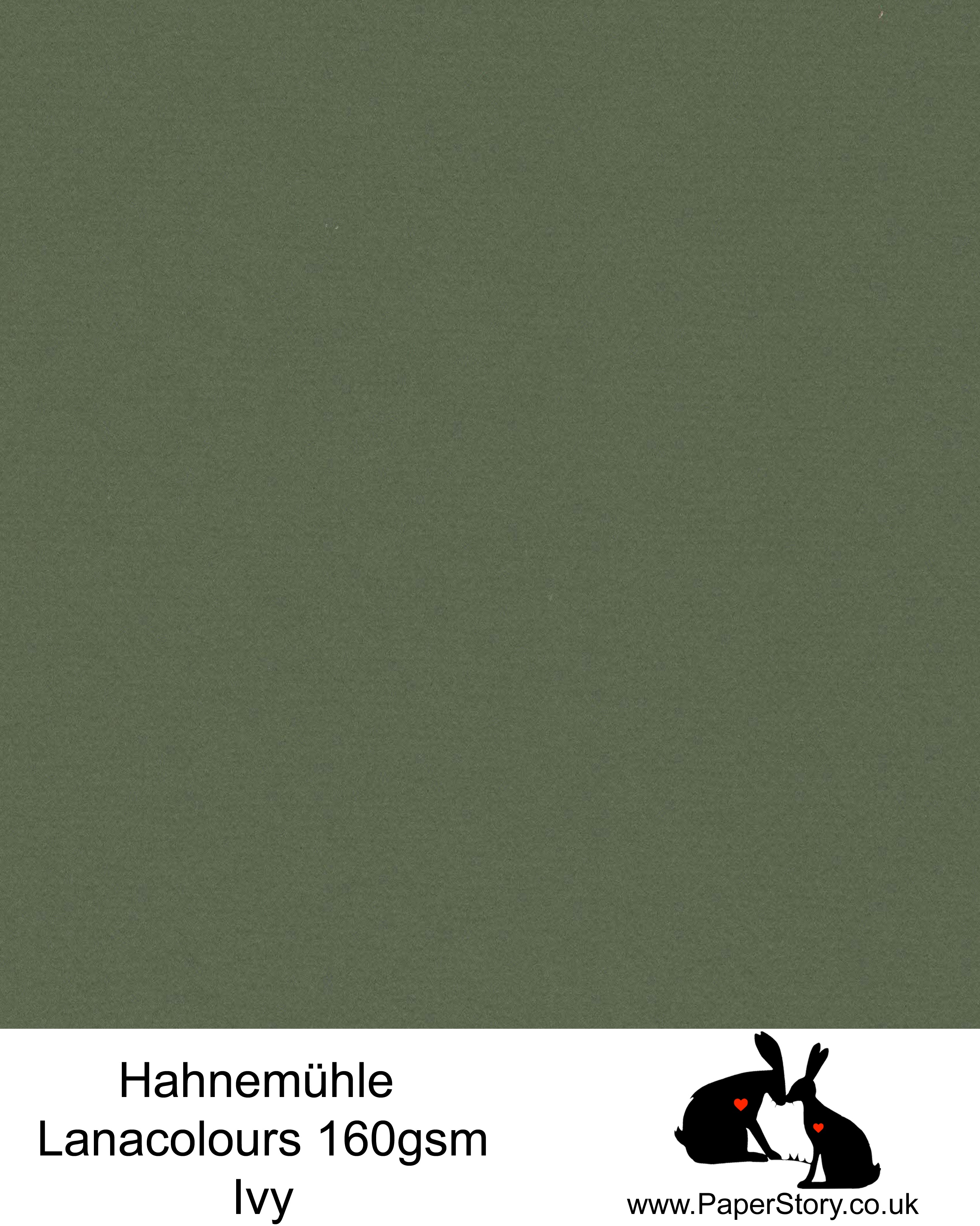 Hahnemühle Lana Colours pastel Ivy green , botanical hammered paper 160 gsm. Artist Premium Pastel and Papercutting Papers 160 gsm often described as hammered paper. 
