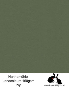 Hahnemühle Lana Colours pastel Ivy green , botanical hammered paper 160 gsm. Artist Premium Pastel and Papercutting Papers 160 gsm often described as hammered paper. 