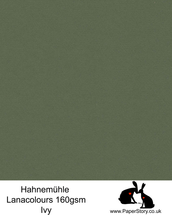 Hahnemühle Lana Colours pastel Ivy green , botanical hammered paper 160 gsm. Artist Premium Pastel and Papercutting Papers 160 gsm often described as hammered paper. 
