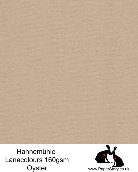 Oyster Hahnemühle LanaColours PS09 160 gsm A4 Papercutting paper
