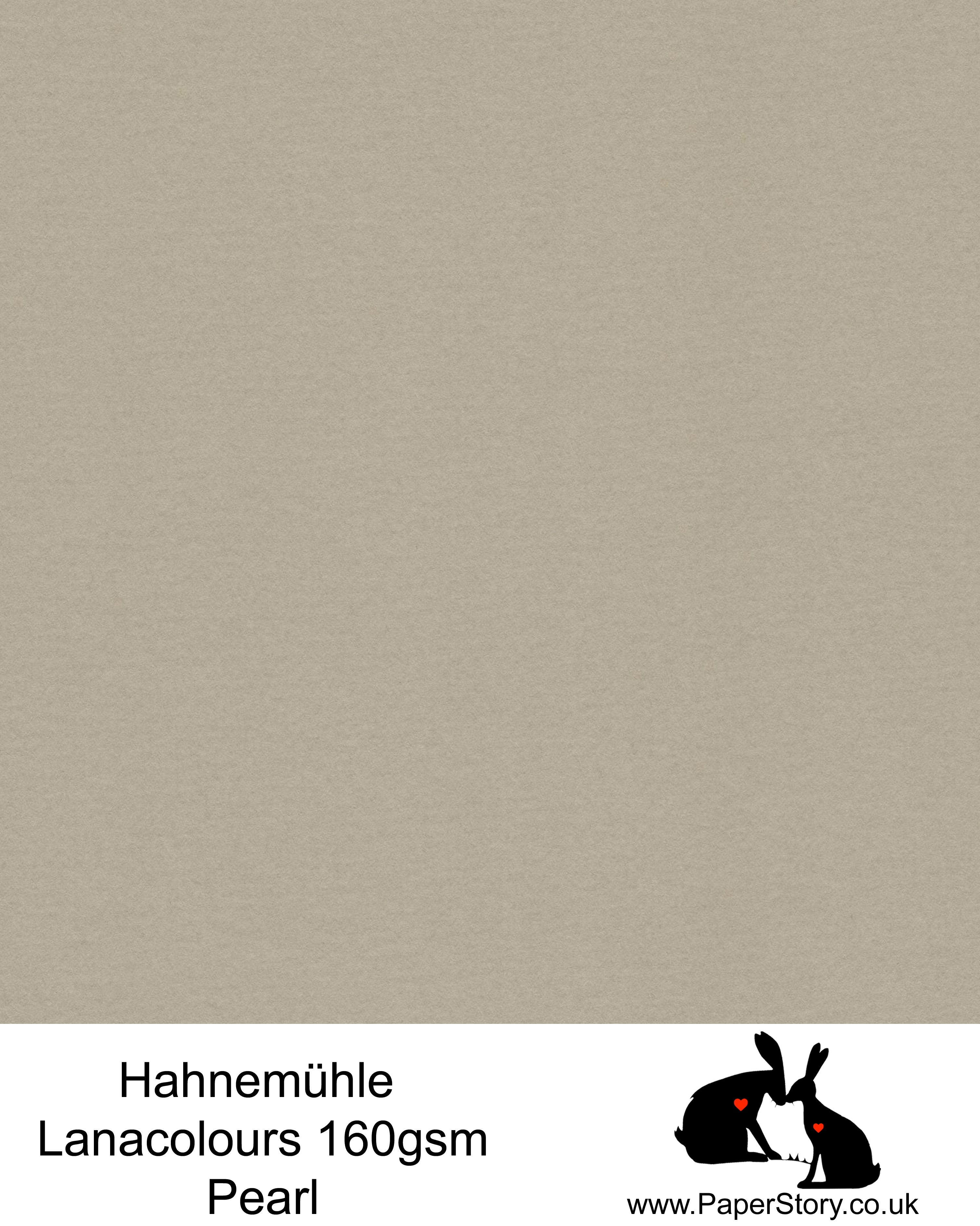 Hahnemühle Lana Colours Pearl warm grey/brown pastel hammered paper 160 gsm. Artist Premium Pastel and Papercutting Papers 160 gsm often described as hammered paper