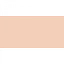 Polychromos Artist Pencil Beige Red ( Light Flesh )132