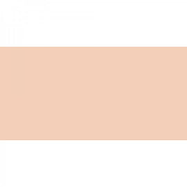 Polychromos Artist Pencil Beige Red ( Light Flesh )132