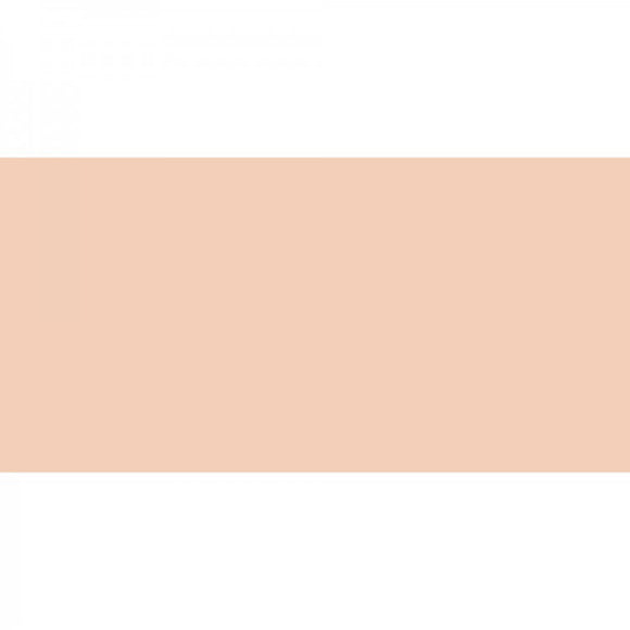 Polychromos Artist Pencil Beige Red ( Light Flesh )132