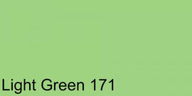 Polychromos Artist Pencil Light Green 171