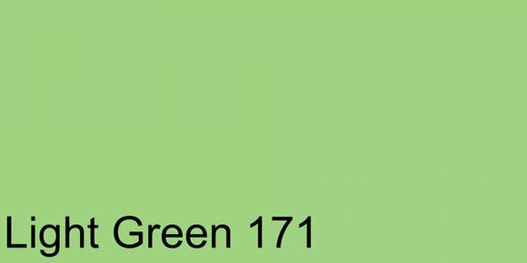 Polychromos Artist Pencil Light Green 171