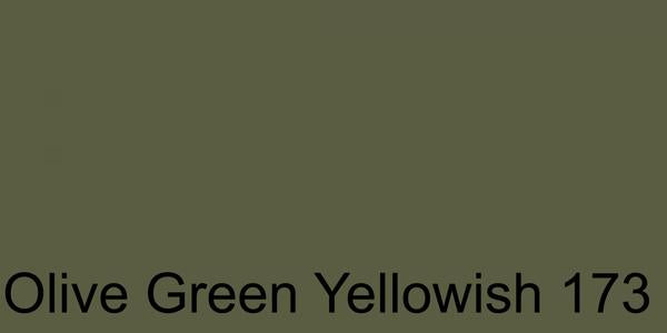 Polychromos Artist Pencil Olive Green Yellowish 173