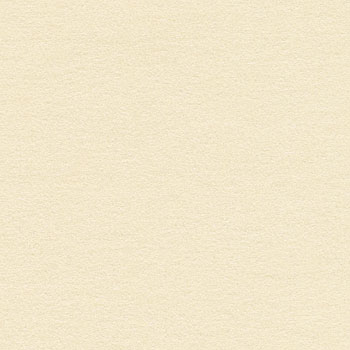 Stardream Opal Pearlescent Paper : Ivory 120 gsm