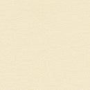 Stardream Opal Pearlescent Paper : Ivory 120 gsm