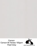 Canson Mi Teintes acid free, Pearl Grey , hammered texture honeycomb surface paper 160 gsm. This is a popular and classic paper for all artists especially well respected for Pastel  and Papercutting made famous by Paper Panda. This paper has a honeycombed finish one side and fine grain the other. An authentic art paper, acid free with a  very high 50% cotton content. Canson Mi-Teintes complies with the ISO 9706 standard on permanence, a guarantee of excellent conservation  
