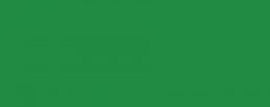 Polychromos Artist Pencil Permanent Green 266