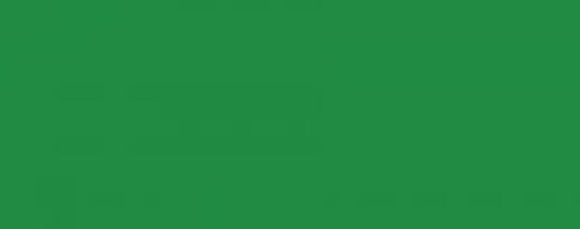 Polychromos Artist Pencil Permanent Green 266