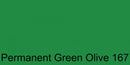 Polychromos Artist Pencil Permanent Green Olive 167