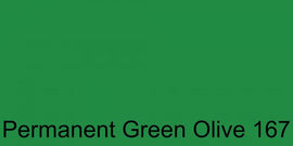 Polychromos Artist Pencil Permanent Green Olive 167