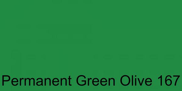 Polychromos Artist Pencil Permanent Green Olive 167