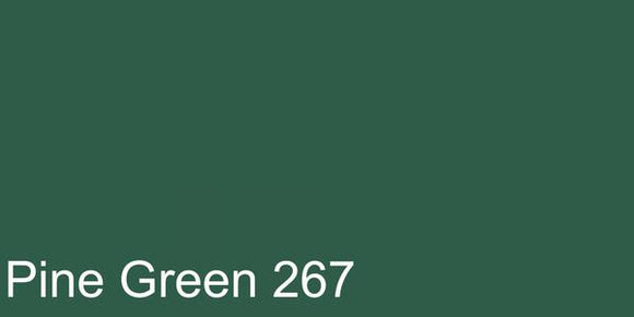 Polychromos Artist Pencil Pine Green 267