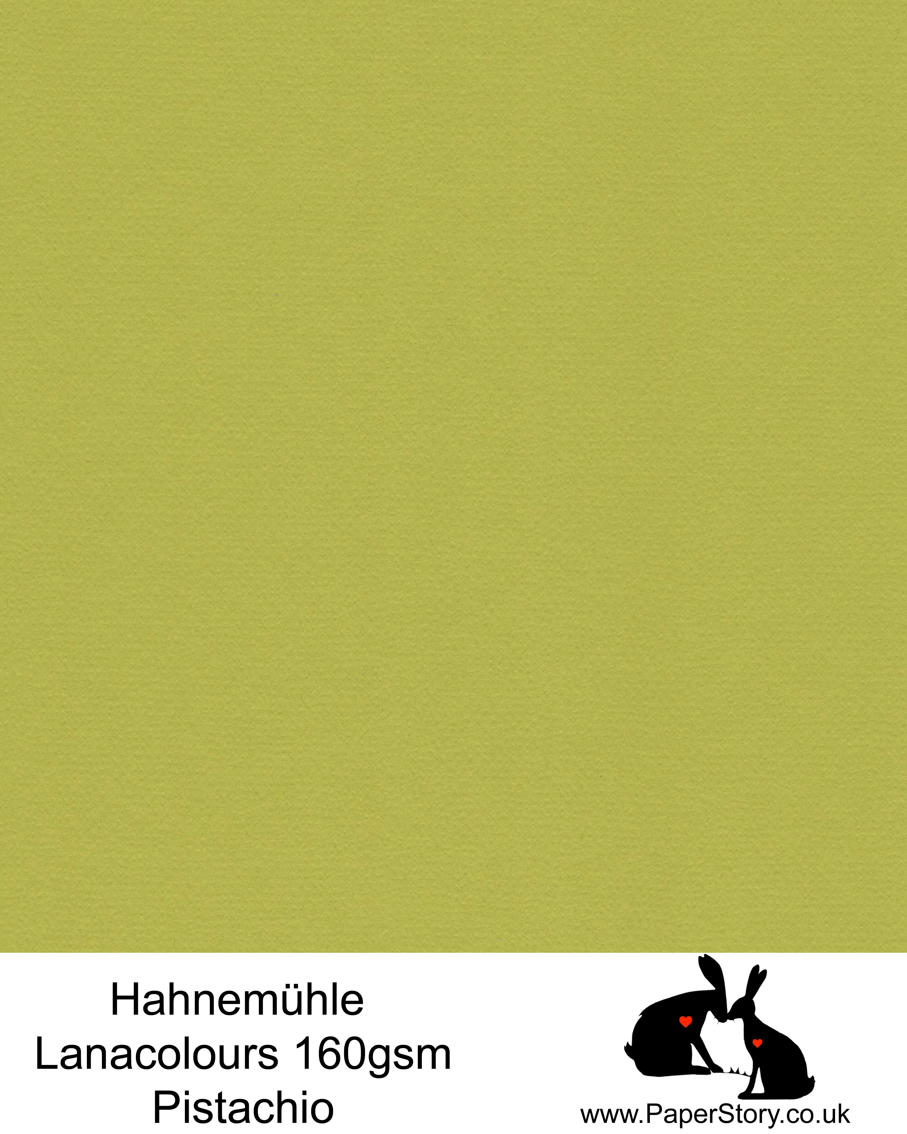 Hahnemühle Lana Colours pastel Pistachio green, hammered paper 160 gsm. Artist Premium Pastel and Papercutting Papers 160 gsm often described as hammered paper.