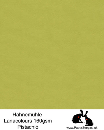 Hahnemühle Lana Colours pastel Pistachio green, hammered paper 160 gsm. Artist Premium Pastel and Papercutting Papers 160 gsm often described as hammered paper.