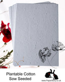 Sow Seeded Wild Air dried Luxury Seed Mix Card 100% Cotton 250 - 280 gsm