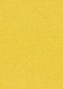 Pearlescent Precious Bright Gold 120 gsm paper
