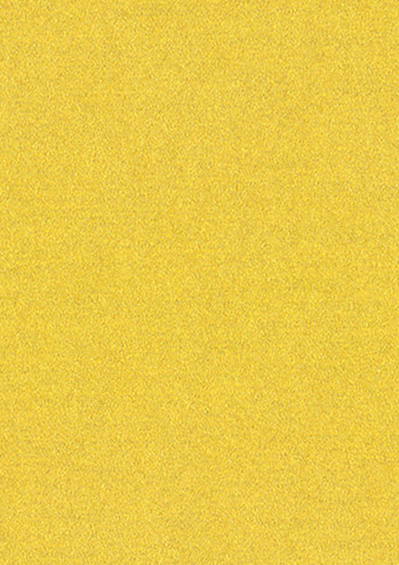 Pearlescent Precious Bright Gold 120 gsm paper