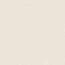 Stardream Quartz  Pearlescent Card:  Ivory  285 gsm