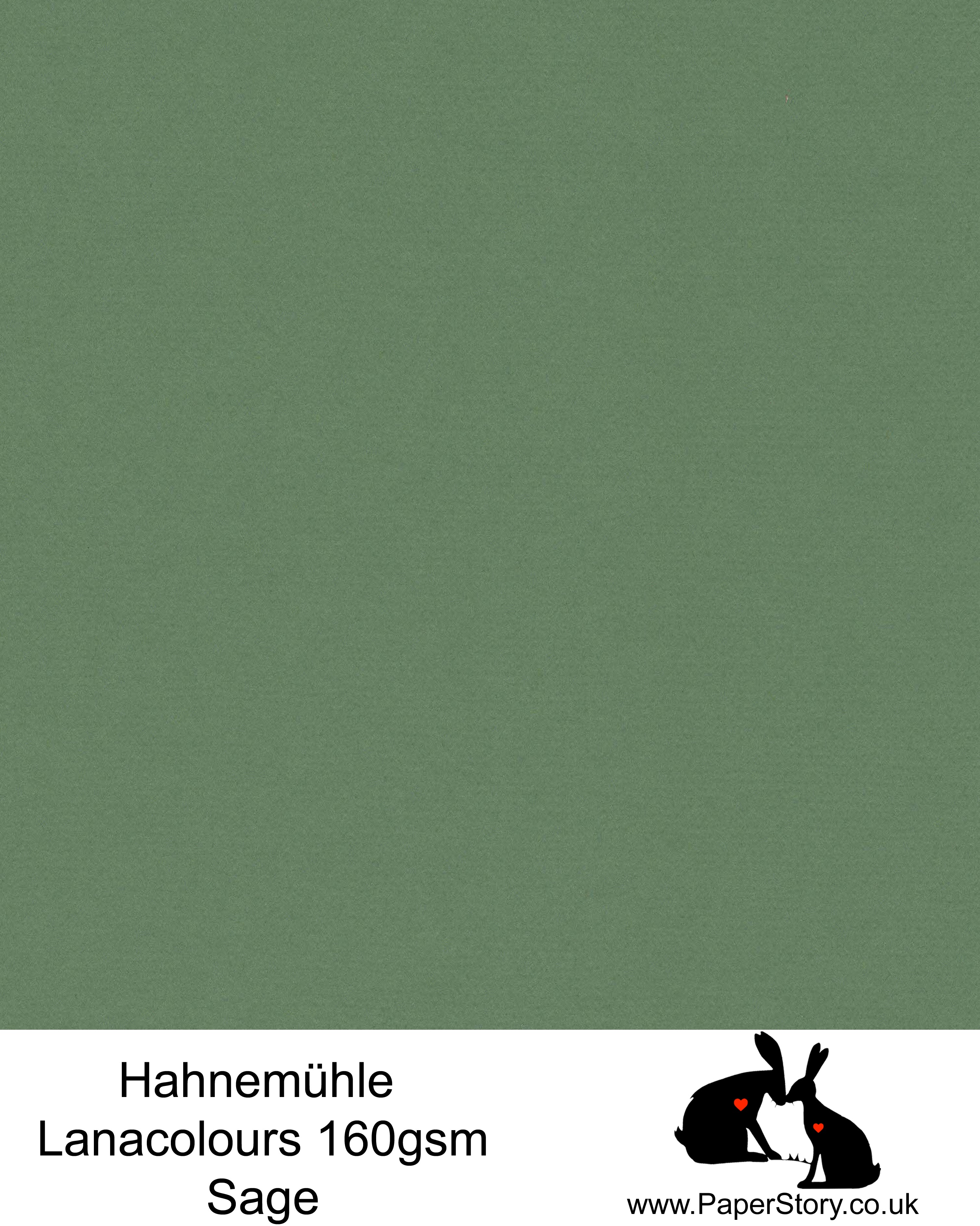 Hahnemühle Lana Colours pastel sage green hammered paper 160 gsm. Artist Premium Pastel and Papercutting Papers 160 gsm often described as hammered paper