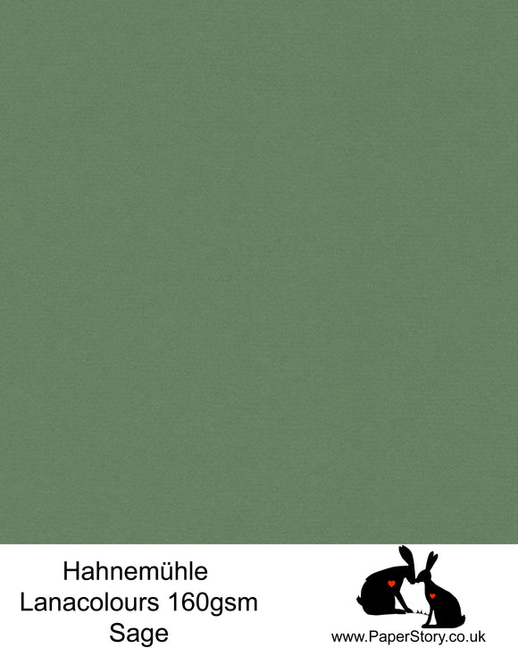 Hahnemühle Lana Colours pastel sage green hammered paper 160 gsm. Artist Premium Pastel and Papercutting Papers 160 gsm often described as hammered paper