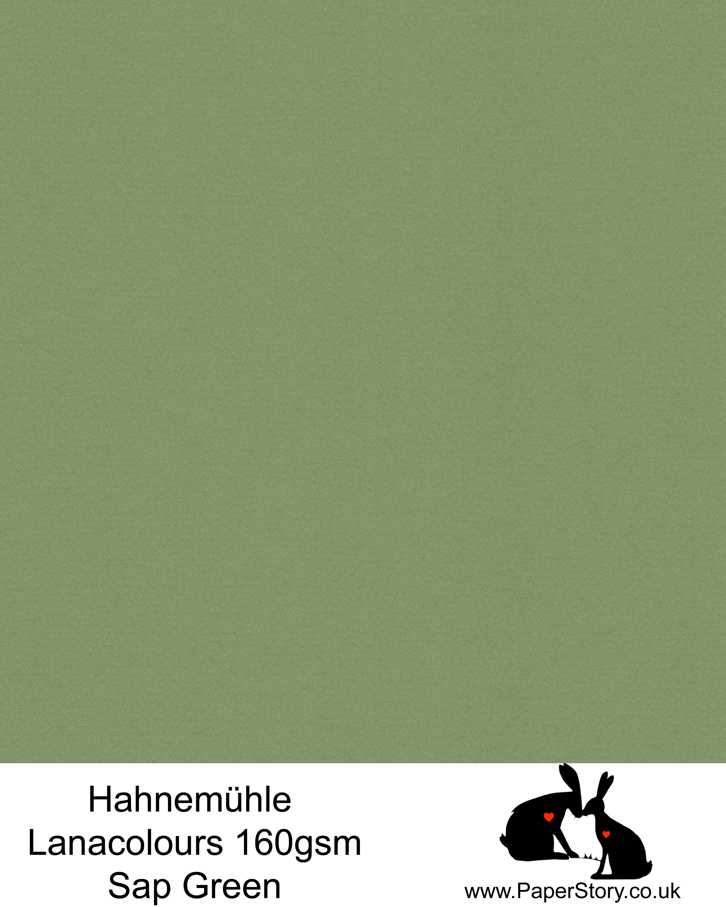 Hahnemühle Lana Colours Sap Green Botanical pastel hammered paper 160 gsm. Artist Premium Pastel and Papercutting Papers 160 gsm often described as hammered paper